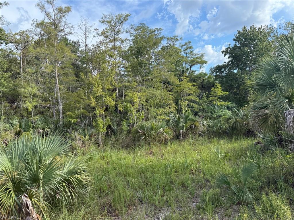 BIG CYPRESS GOLF COUNTRY CLUB - Land