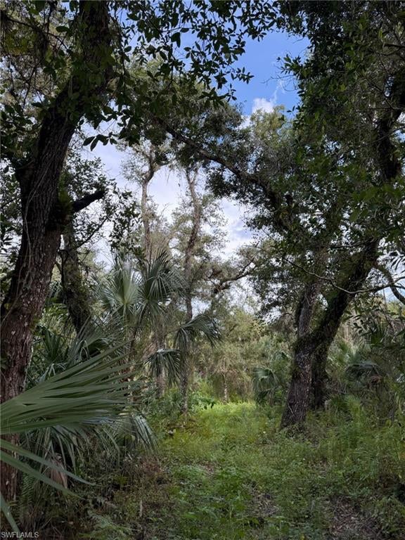 BIG CYPRESS GOLF COUNTRY CLUB - Land