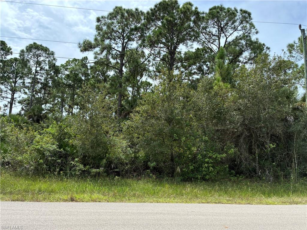 Great opportunity to own a 0.25 acre residential vacant lot located at 3417 49th St. W. in Lehigh Acres Florida priced at just $20,000. This property offers an opportunity for buyers looking to build a future home or invest in a vacant land in Southwest Florida situated in an established residential area with nearby homes. This property offers the flexibility to plan a future residence, subject to county requirements and approval whether you're looking to build now or purchase land for your future use this property is worth considering don't miss this opportunity to own a piece of Southwest Florida.