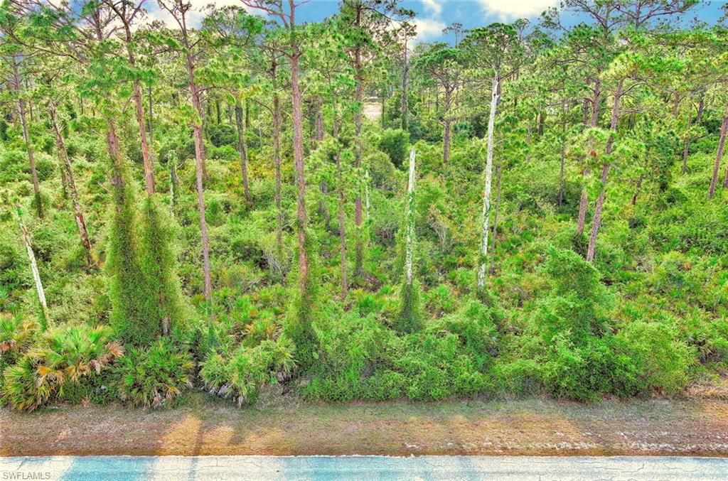 Prime residential lot opportunity in Alva, Lee County.

Situated in a desirable residential area, this property offers convenient access to Joel Boulevard (approximately 0.62 miles). The lot is located in Flood Zone X, indicating minimal flood risk (outside 100- and 500-year floodplains), resulting in few or no special building requirements such as elevated foundations, flood vents, or mandatory flood insurance. No wetlands present nearby, so no additional permitting, environmental reviews, or construction restrictions apply from wetland regulations. 

Zoned RS-1 Single Family Residential, the property supports low-density residential use, including single-family detached homes by right. Modular/manufactured homes if meeting FL building codes. Accessory Dwelling Units (ADUs) possible with approval. Prohibited: Duplexes, townhomes, multifamily apartments, mobile home communities (require rezoning). Buyer should verify all zoning, setbacks, utility availability, and development requirements with Lee County Planning.

The property is available for a self-guided tour. Subleasing is not permitted. This lot is not available for rent or lease.