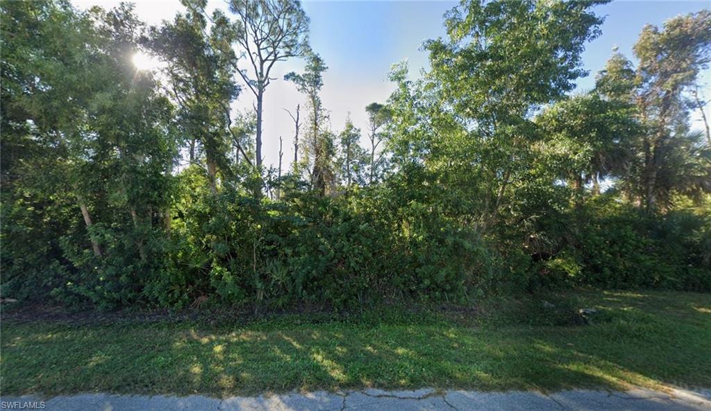 TROPICAL HOMESITES - Land
