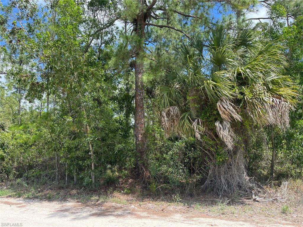 NAPLES FARM SITES - Land