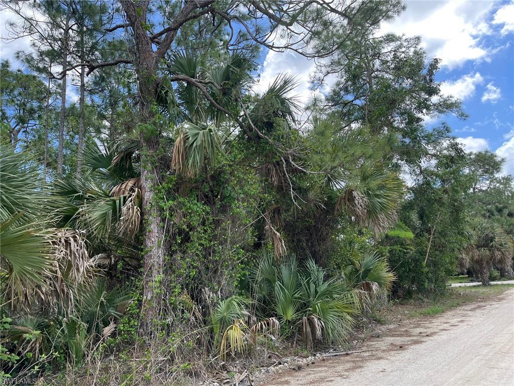 NAPLES FARM SITES - Land