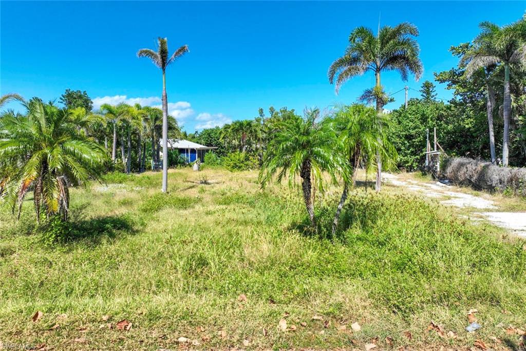 SANIBEL ESTATES - Land