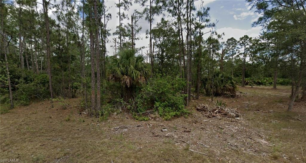 LEHIGH ACRES - Land