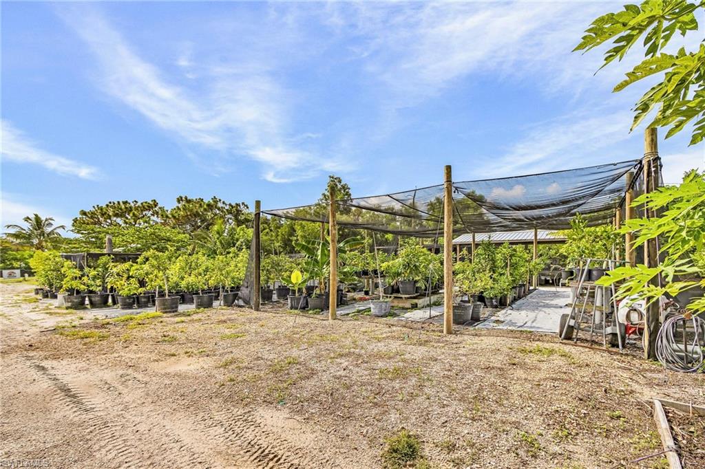 PINE ISLAND - Residential