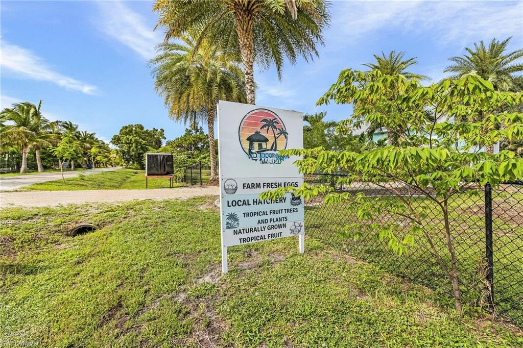 PINE ISLAND - Residential
