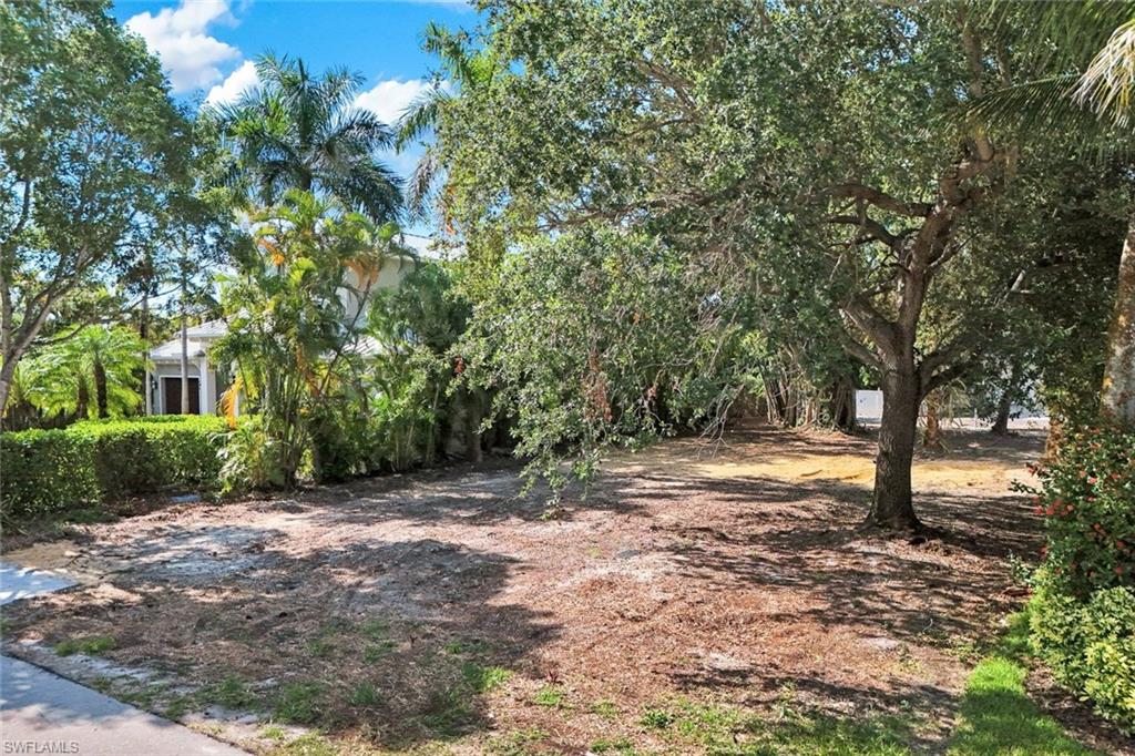 OLDE NAPLES - Land