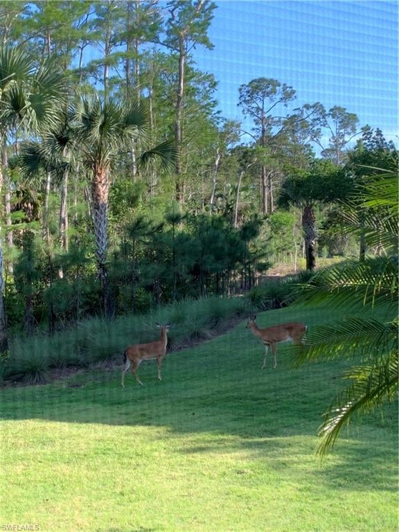 ISLES OF COLLIER PRESERVE - Residential
