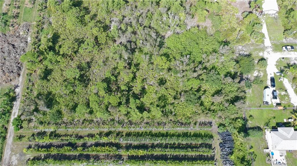 KREAMERS AVOCADO SUBD - Land