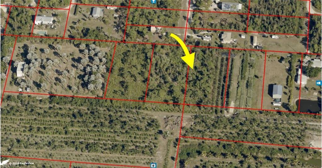 KREAMERS AVOCADO SUBD - Land