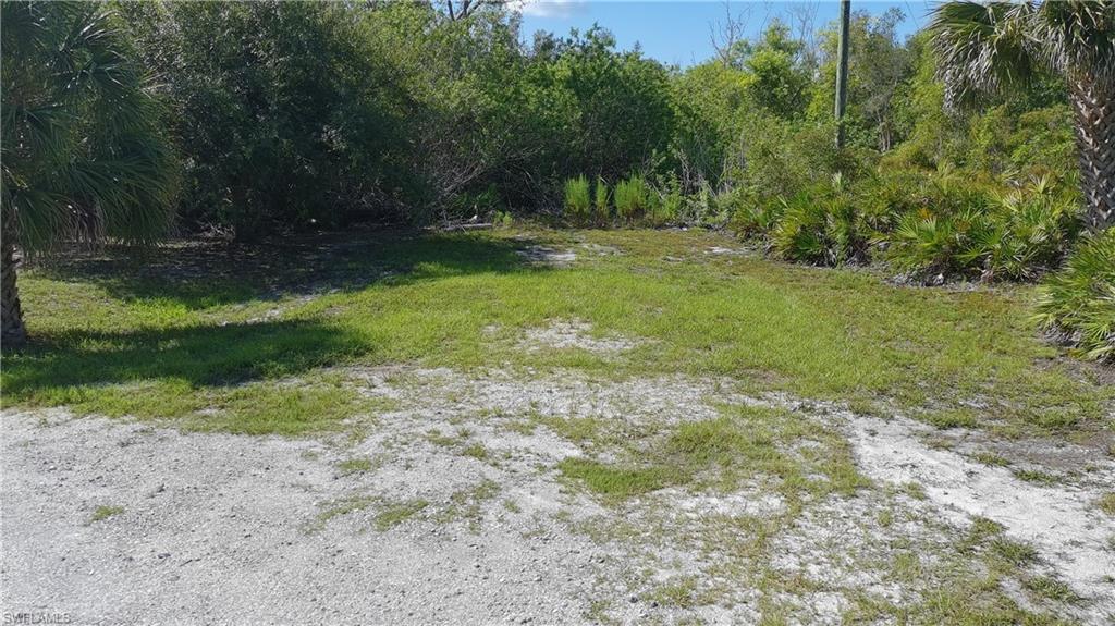 KREAMERS AVOCADO SUBD - Land
