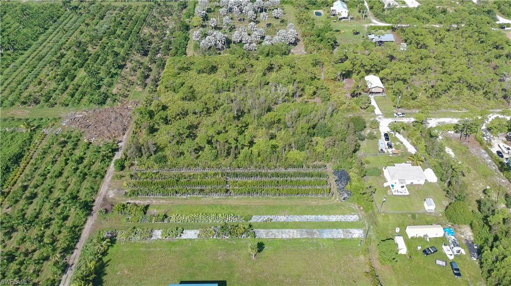KREAMERS AVOCADO SUBD - Land