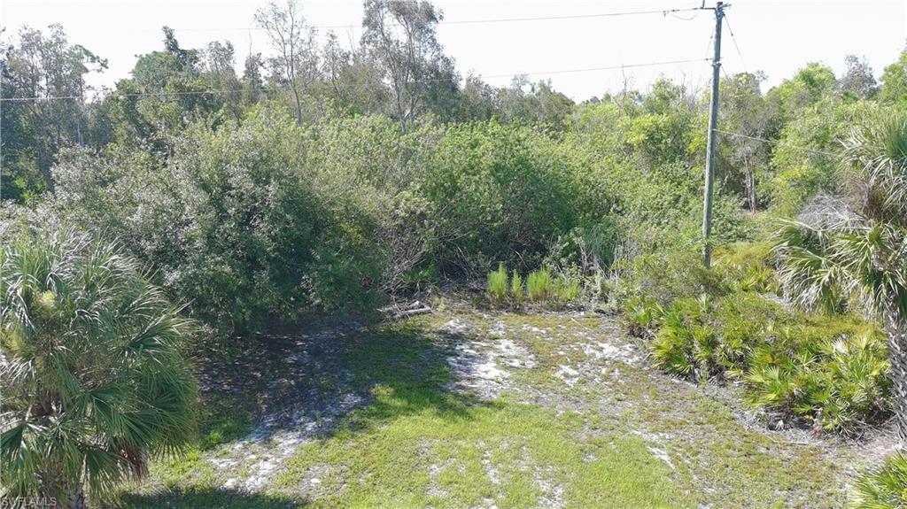 KREAMERS AVOCADO SUBD - Land