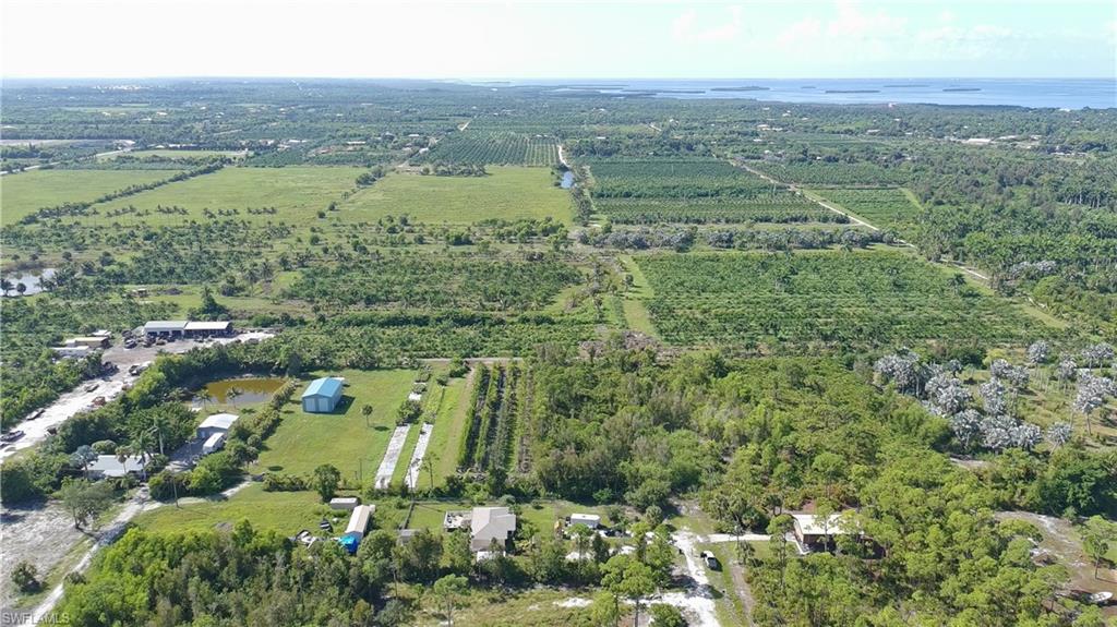 KREAMERS AVOCADO SUBD - Land