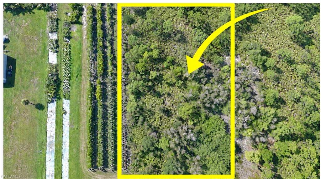 Discover the peace, privacy, and natural beauty of Pine Island with this spacious 1-acre homesite at 14999 Martinique Way in Bokeelia. This property offers plenty of room to create your own private island retreat with space between you and your neighbors. Enjoy a quiet, serene setting while still being just a short drive from local marinas, waterfront restaurants, shops, and some of Southwest Florida’s best boating and fishing. Pine Island is a paradise for anglers, boaters, and nature lovers, with easy access to nearby destinations such as Cayo Costa, North Captiva, Captiva, and surrounding waters. Watch for bald eagles, osprey, herons, egrets, roseate spoonbills, and other native Florida wildlife. If you’re looking for room to breathe, privacy, and the laid-back Old Florida lifestyle, this beautiful Bokeelia property is ready for your vision.