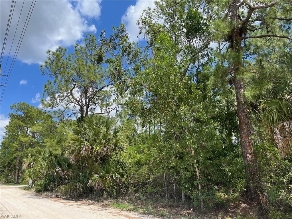 NAPLES FARM SITES - Land