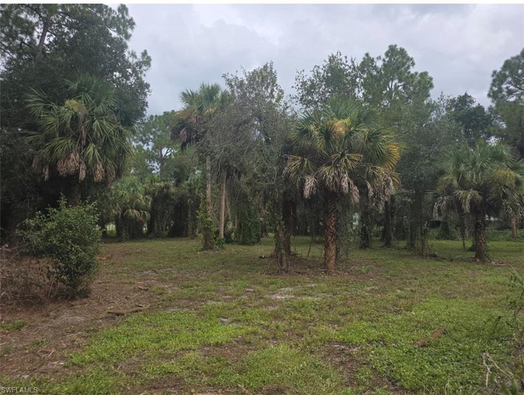 This spacious corner lot offers a wide variety of possibilities for those who love the outdoors and appreciate the peace and privacy of a rural community. With plenty of room to create your future residence, enjoy gardening, start a hobby farm, or pursue other outdoor interests, this property provides the flexibility to make your vision a reality.

If you’re looking for a place where you can enjoy the rural lifestyle and the great outdoors, this could be the perfect location for your future home and more.

Explore the possibilities and imagine what you can create here!