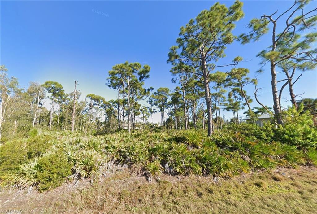 TROPICAL HOMESITES - Land