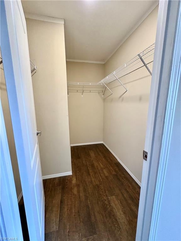 CLEWISTON - Residential