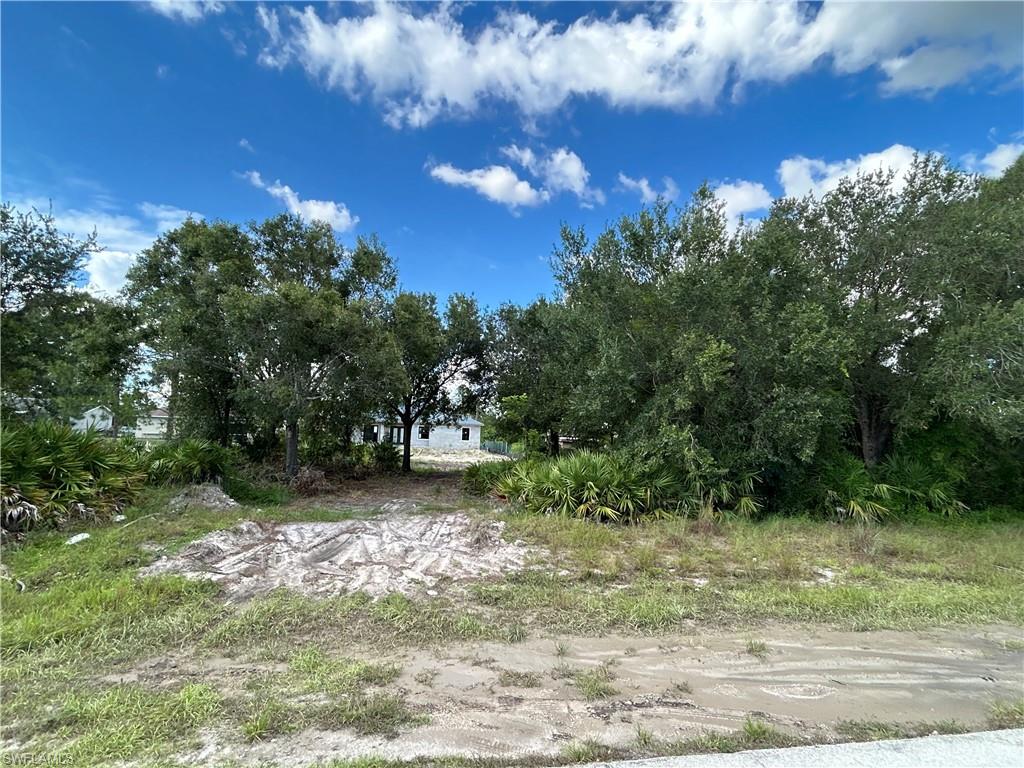 This prime vacant lot offer a great opportunity to build your dream home in desirable and growing area with convenient access to major roads, this lot is located in the fast-growing and highly desirable community of Lehigh Acres Whether you're looking to build now or hold for future appreciation, this vacant lot offers an excellent opportunity in Southwest Florida.