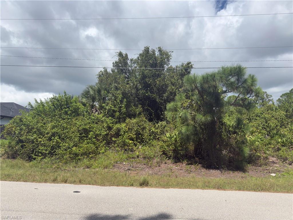 LEHIGH ACRES - Land