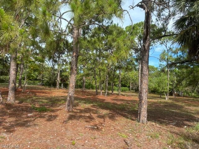 Nice 1.4 acre in the new "Port Royal" of North Naples.  Build your custom or spec home; front and rear exposures can be one of several different directions. Lot will permit living area of approximately 8,000 SF on level one, plus setbacks and space for the pool.

Lot is dry even without fill; did great in the mid June rain deluge.
See survey for more info.