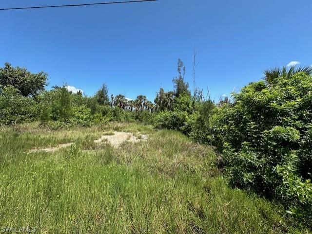 PINE ISLAND TROPICAL HOMESITES - Land