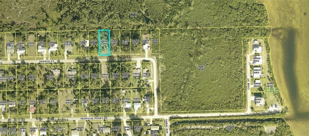 PINE ISLAND TROPICAL HOMESITES - Land