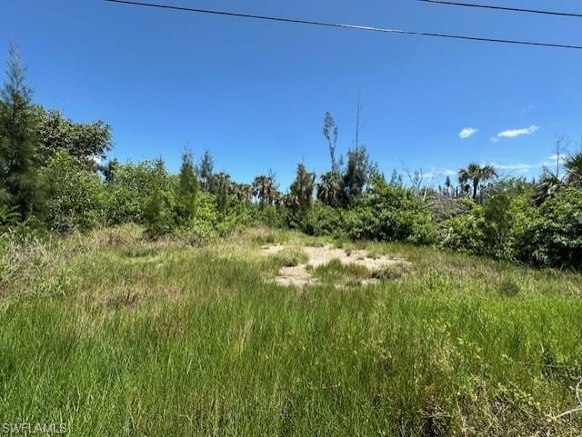 PINE ISLAND TROPICAL HOMESITES - Land