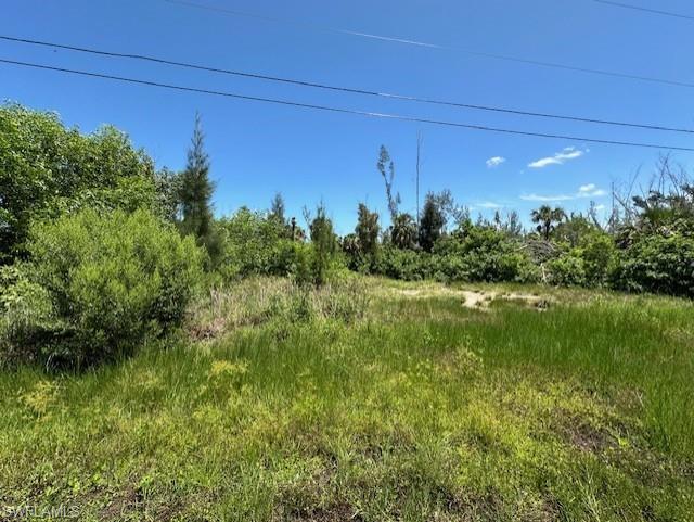 PINE ISLAND TROPICAL HOMESITES - Land