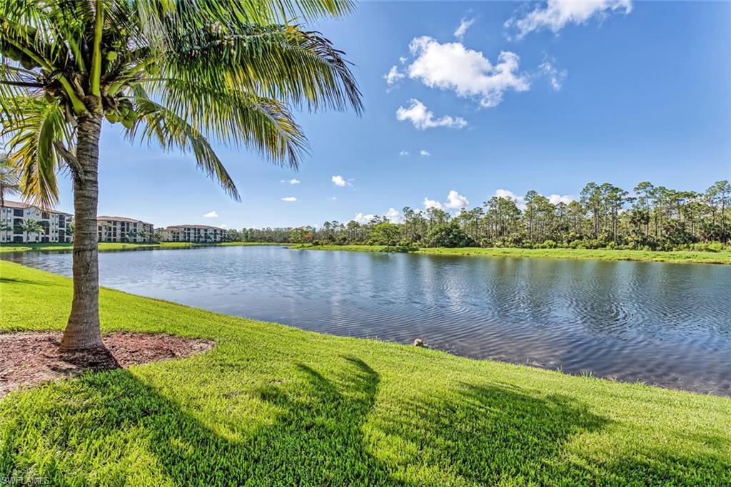 ALBERI ACQUA - Residential Lease