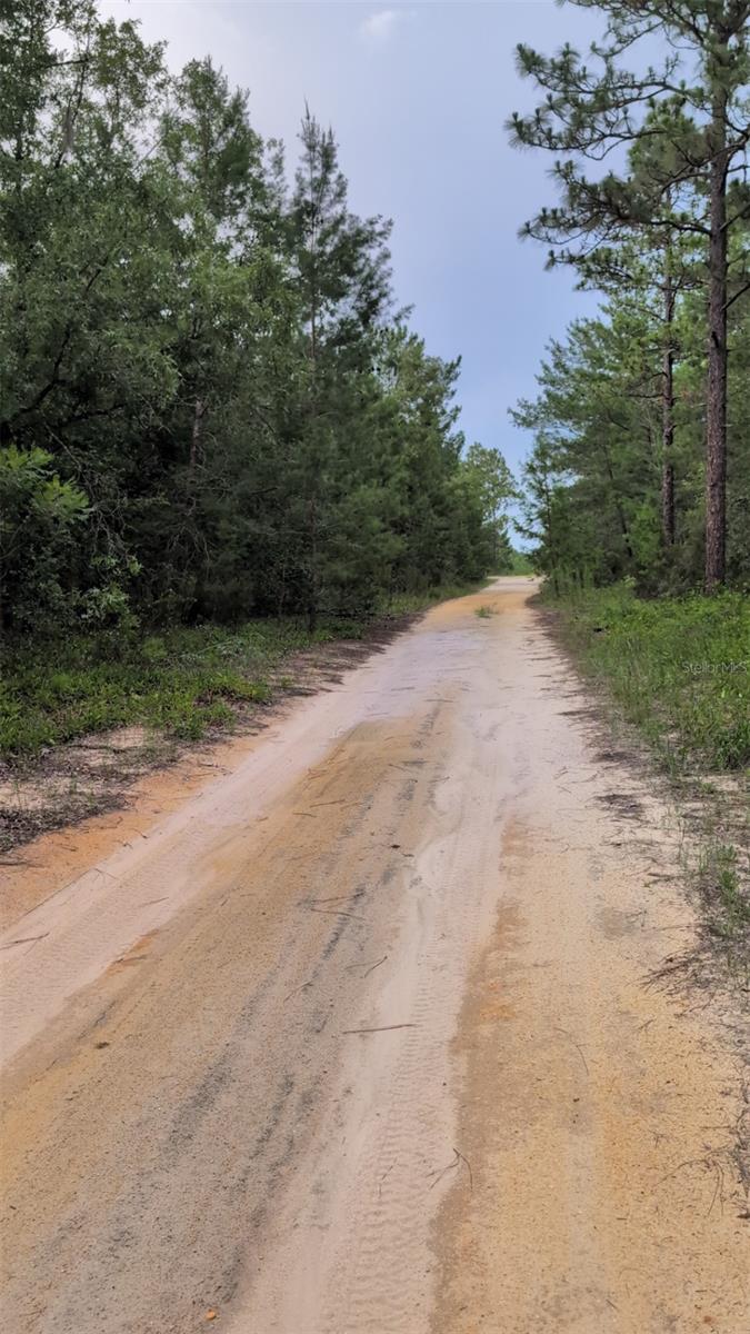 INTERLACHEN LAKES ESTATES - Land