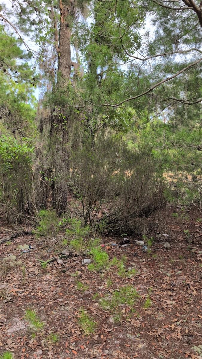 INTERLACHEN LAKES ESTATES - Land