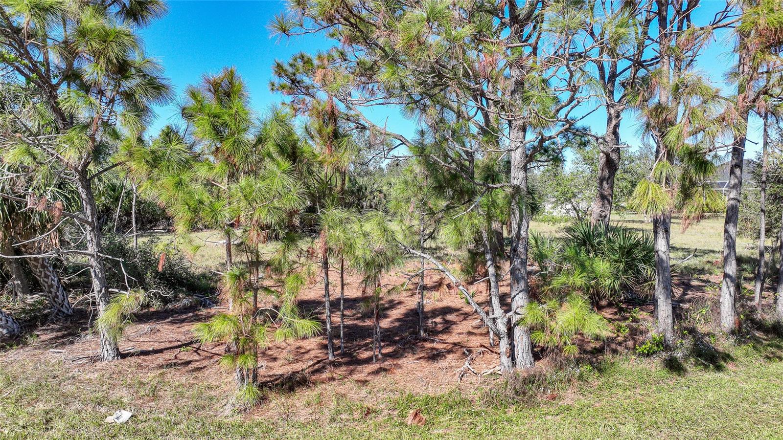 PORT CHARLOTTE SEC 081 - Land
