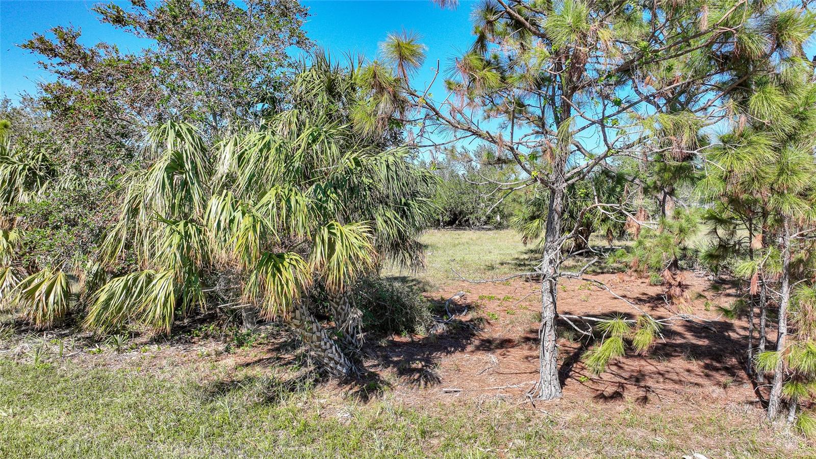 PORT CHARLOTTE SEC 081 - Land