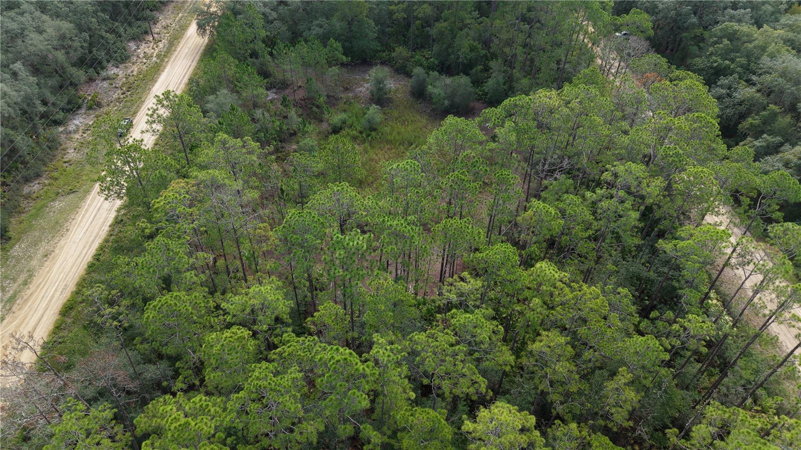 INTERLACHEN LAKES ESTATES - Land