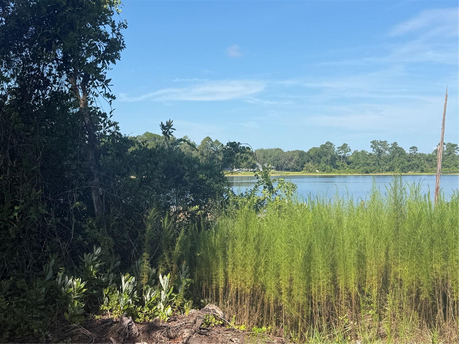 LAKEFRONT LOT!! Looking for tranquility away from it all? Meadow Lake offers a serene lifestyle with a picturesque view you can call your own. Bring your vision to life for a quiet waterfront retreat. Conveniently located between Ocala and The Villages for an easy commute.