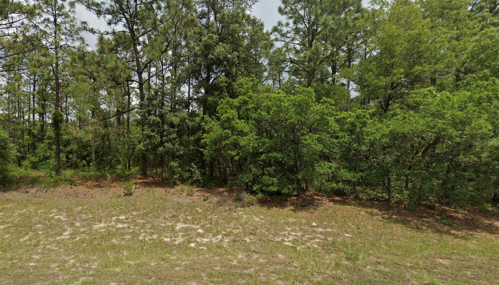 MARION OAKS UN NINE - Land
