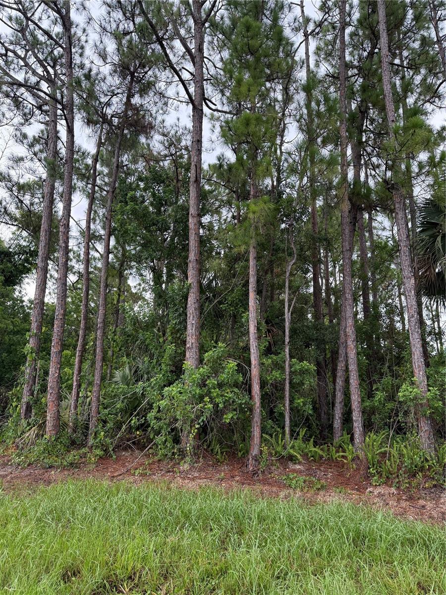 Priced to sell at just $39,900! Don't miss this exceptional opportunity to own a 0.23-acre homesite in one of Southeast Palm Bay's most desirable and rapidly expanding areas! Located on San Filippo Drive SE in the Port Malabar subdivision,  invest in Florida real estate. Enjoy a convenient location close to shopping, dining, schools, parks, medical facilities, and easy access to I-95 for commuting to Melbourne, the Space Coast, and Orlando attractions. Surrounded by newer homes and ongoing development, this property offers the ideal combination of value, location and future potential. No HOA. Priced to sell at just $39,900, bring your builder and start planning today! All information is deemed reliable but not guaranteed. Buyer and Buyer's Agent are encouraged to perform their own due diligence and independently verify all details.