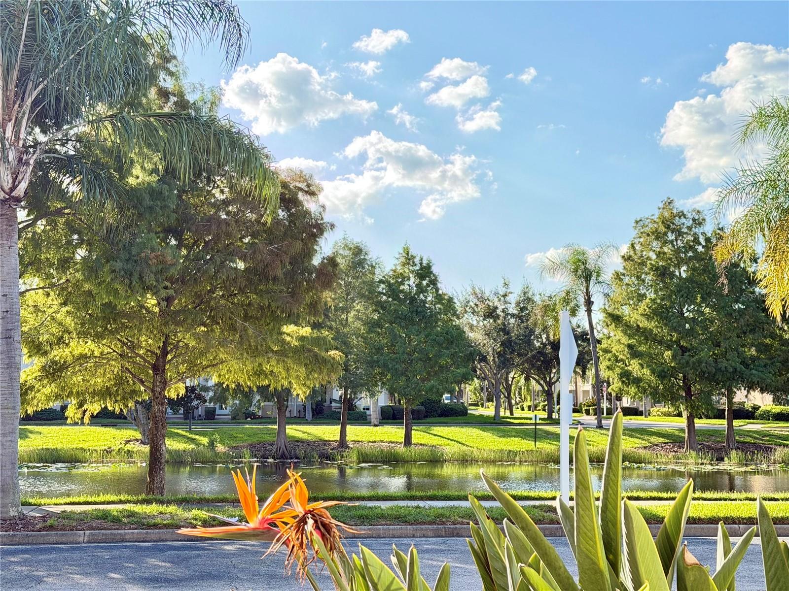 SAN PALERMO - Residential
