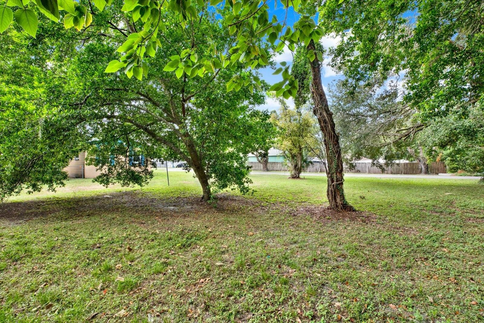 TAMPA OVERLOOK - Residential
