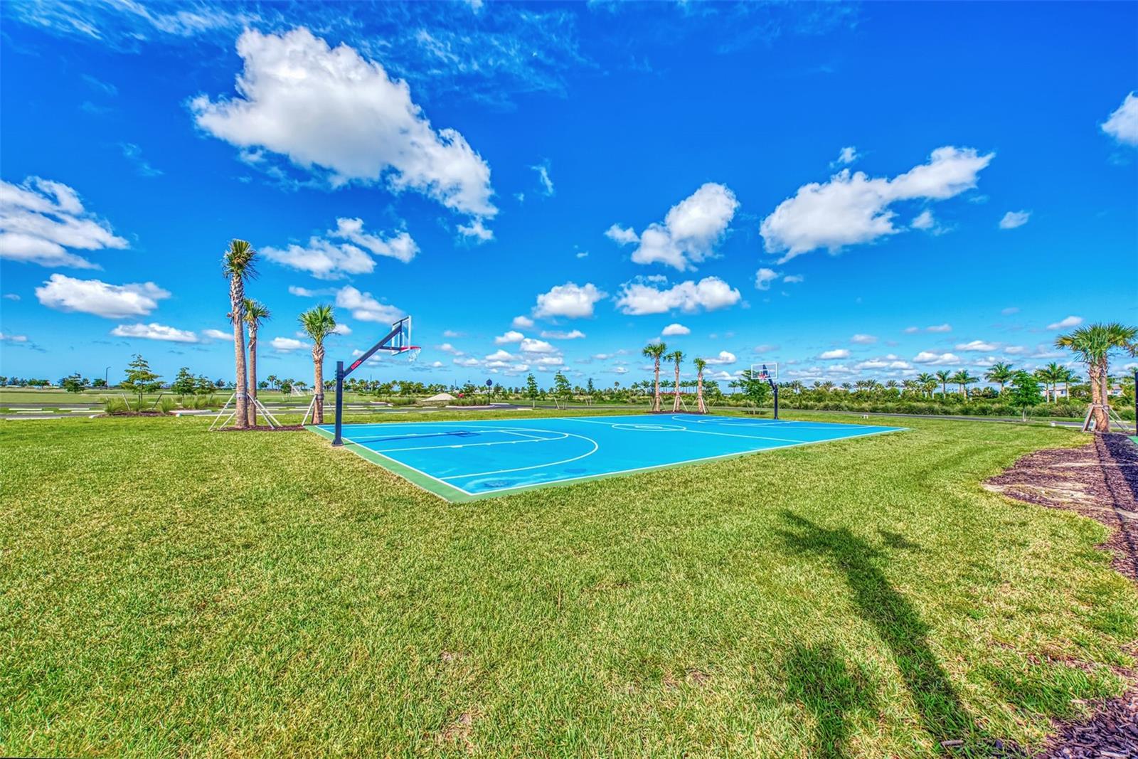 SKYE RANCH - Residential