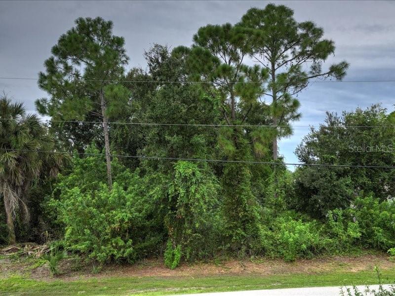 PUNTA GORDA ISLES SEC 20 - Residential