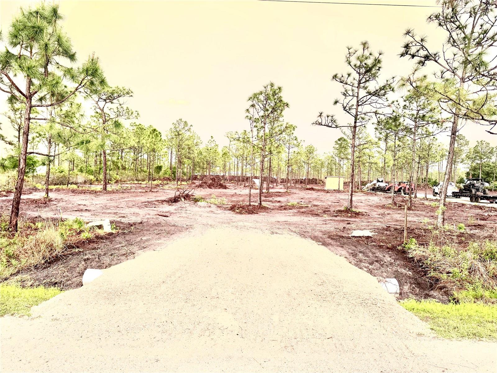 Space to spread out and room to imagine your next chapter! Discover nearly 5 acres in Punta Gorda Acres, featuring open, cleared areas and scattered mature pines that preserve the property’s natural character. Two adjoining parcels on Palangos Drive are offered together, totaling approximately 4.87 acres, as shown on the survey. Two existing storage sheds are included in the sale. Explore the possibilities for a future home with generous outdoor space, a garden, and your own peaceful retreat, subject to applicable approvals. Both parcels are zoned Residential Estate (RE1). Sale includes parcel IDs 402336227004 and 402336227005. Buyer to verify acreage, permitted uses, building eligibility, access, utilities, and environmental requirements with the appropriate agencies.