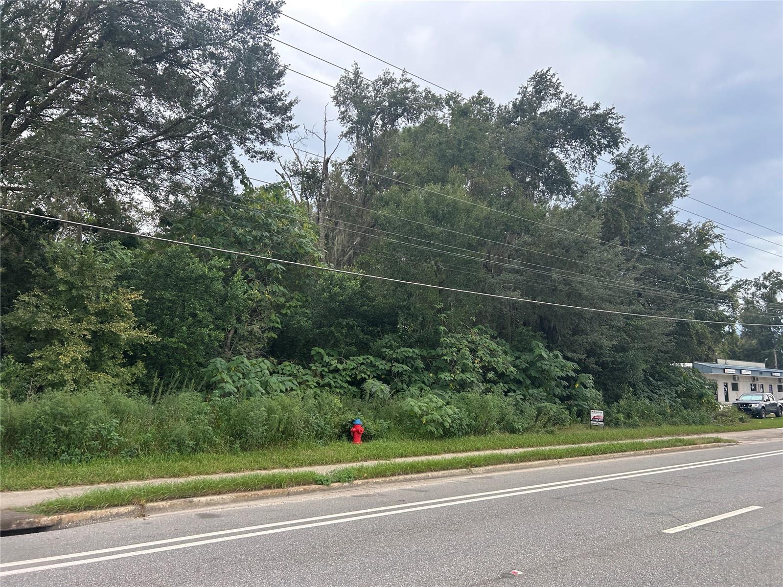 Offered for sale, this unaddressed land parcel near the 2900 Block of Northeast 14th Street presents a compelling opportunity for investors, developers, and users seeking a well-located site in Ocala. The property offers a flexible footprint suitable for a range of potential commercial or mixed-use applications, subject to zoning and approvals. Two wooded parcels 26788-003-00 and 26788-003-01 of 1.71 Acres each total 3.42 Acres.  B2 zoned for a variety of Retail and Office uses.  Property is in an IRA Trust allowing owners to sell but Purchase Agreement will require 2 business days to sign off by IRA Custodian Equity Trust Company as seller.    

3.42 Acres prime commercial land
B2 Zoned - vacant and wooded
Located in 2900 Block of NE 14th Street
26788-003-00 and 26788-003-01 of 1.71 Acres each
City Water and Sewer at road.  Hydrant on property
Ideal for development, expansion, or hold strategy
Located between Sound Exchange and Magnolia Apartments