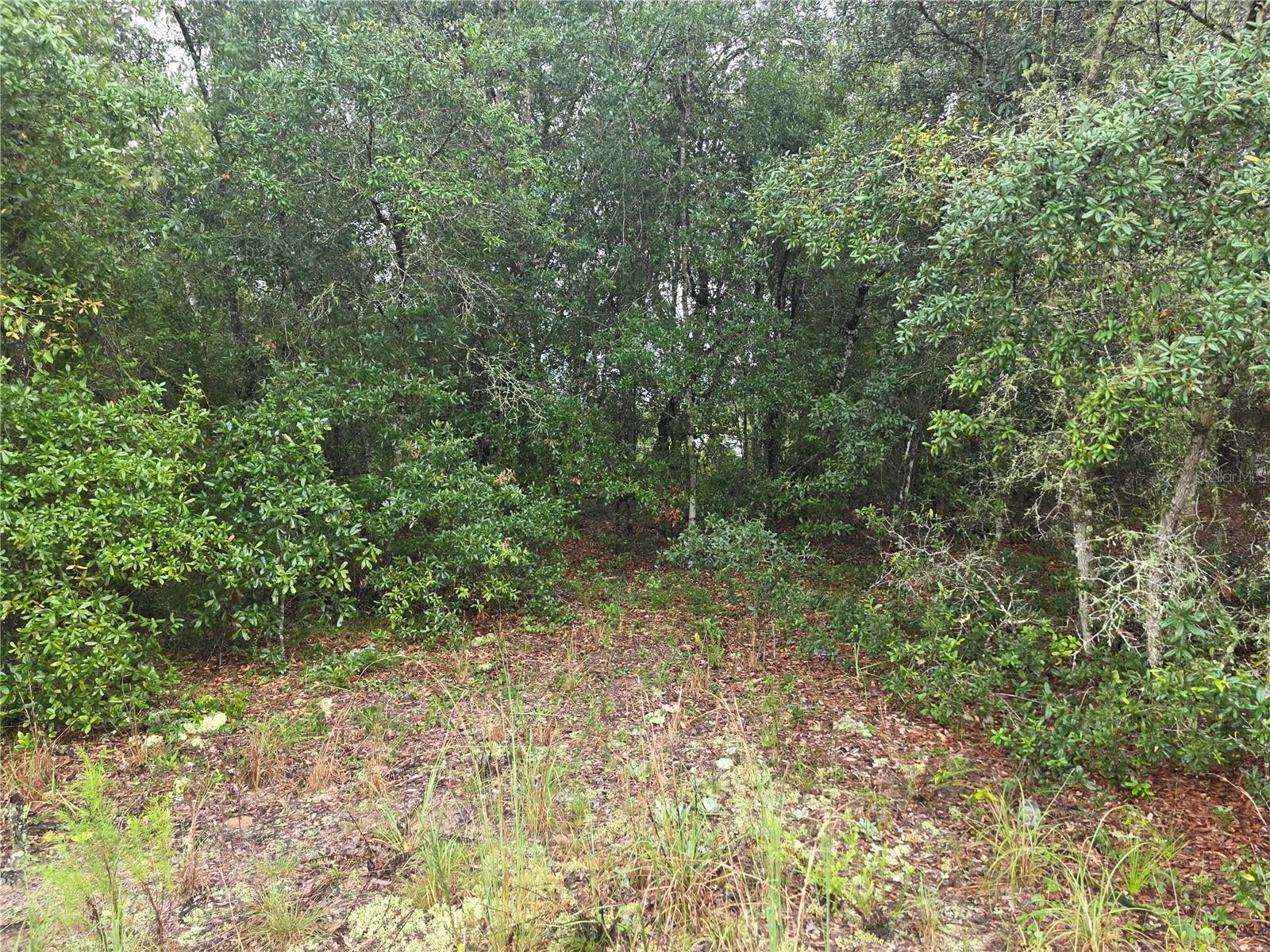 RAINBOW LAKES ESTATE - Land