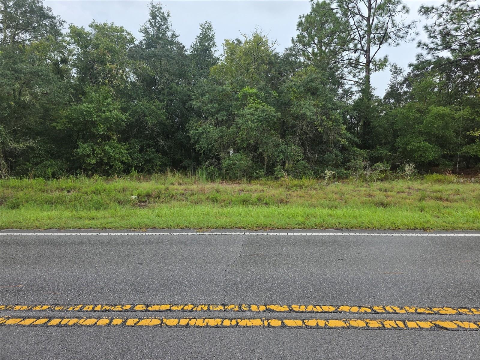 Rainbow Lakes Estates .24 vacant lot! A great location for your dream home! It is a short drive to Downtown Dunnellon, Ocala, or Gainesville. The World Equestrian also nearby. Amenities include 2 Playgrounds, Exercise Room, Community Center, Tennis, Basketball and Racquetball Courts. You will love being near Rainbow Springs State Park, known for its crystal-clear Spring, tubing, kayaking, and scenic walking trails are a must! This lot will require a well, septic system, and electricity connection. Buyer needs to conduct due diligence.