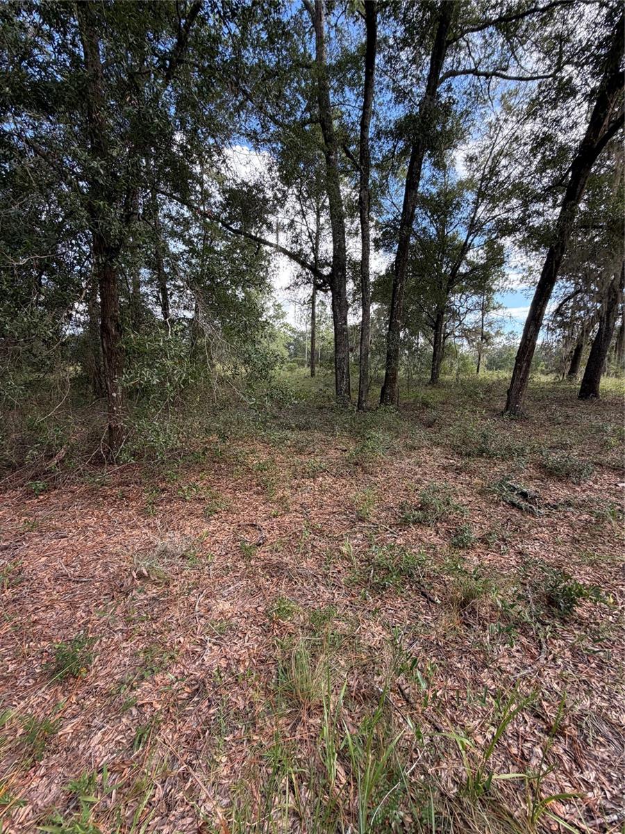 B & R/GREEN HIGHLANDS/COUNTRY EST AREA (328) - Residential
