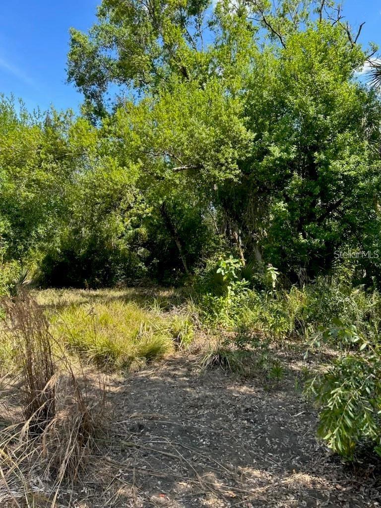 ACREAGE - Land